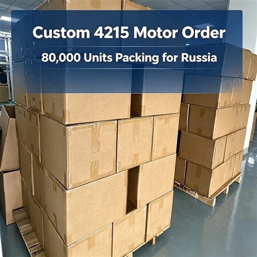 Custom 4215 Motor Order For Russian Client Александр Иванов, 80,000 Units Under Packing & Shipmen...